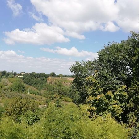Apartamento Nel Chianti Lungo La Francigena Colle di Val d'Elsa Exterior foto