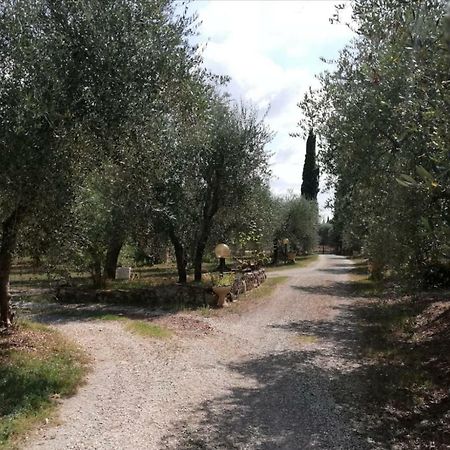 Apartamento Nel Chianti Lungo La Francigena Colle di Val d'Elsa Exterior foto