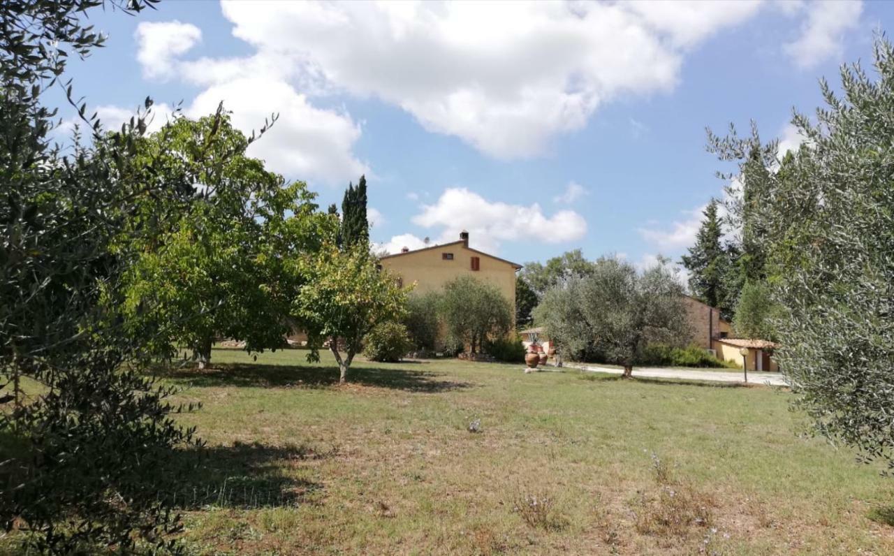 Apartamento Nel Chianti Lungo La Francigena Colle di Val d'Elsa Exterior foto