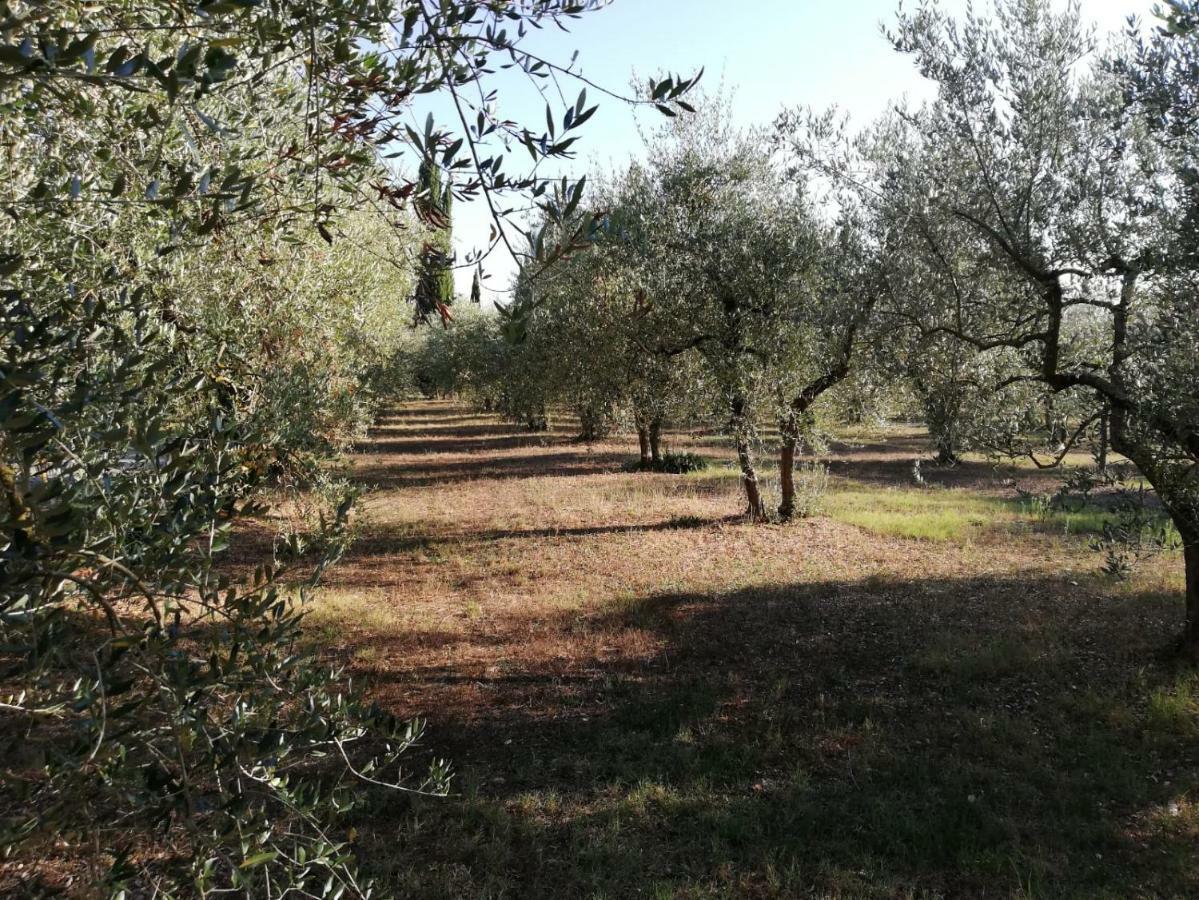 Apartamento Nel Chianti Lungo La Francigena Colle di Val d'Elsa Exterior foto