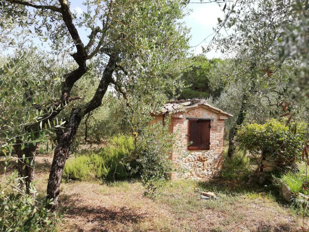 Apartamento Nel Chianti Lungo La Francigena Colle di Val d'Elsa Exterior foto