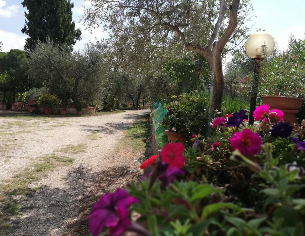 Apartamento Nel Chianti Lungo La Francigena Colle di Val d'Elsa Exterior foto