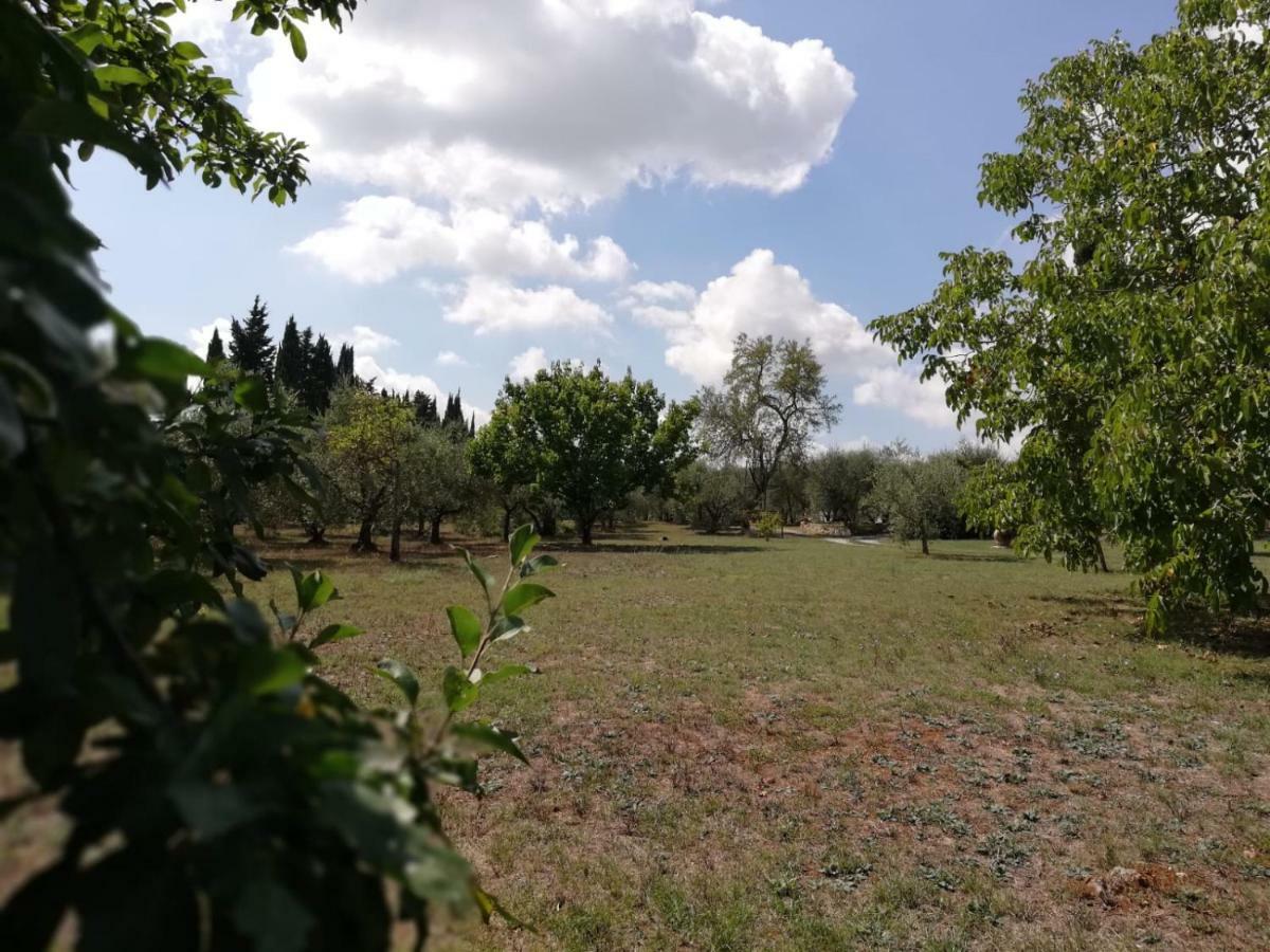 Apartamento Nel Chianti Lungo La Francigena Colle di Val d'Elsa Exterior foto