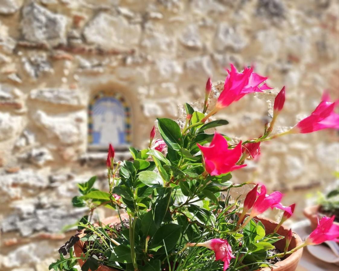 Apartamento Nel Chianti Lungo La Francigena Colle di Val d'Elsa Exterior foto