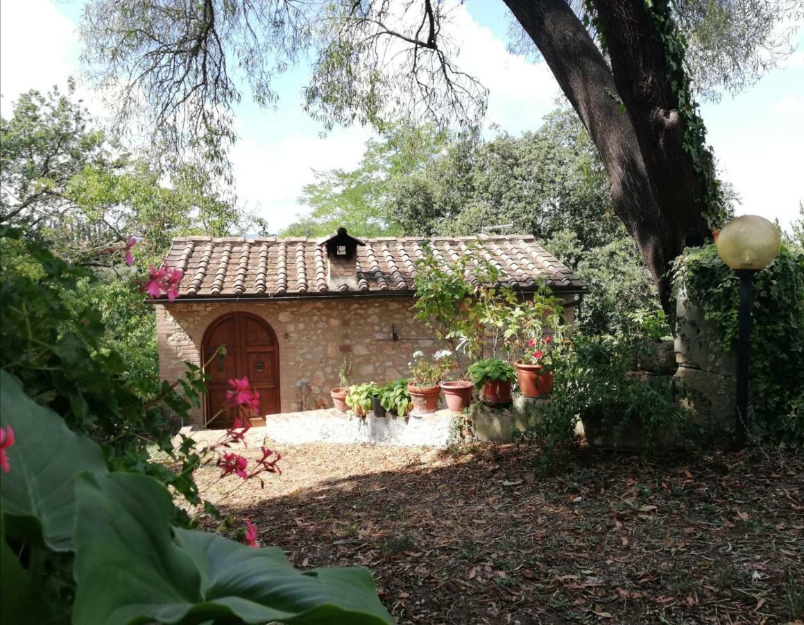 Apartamento Nel Chianti Lungo La Francigena Colle di Val d'Elsa Exterior foto