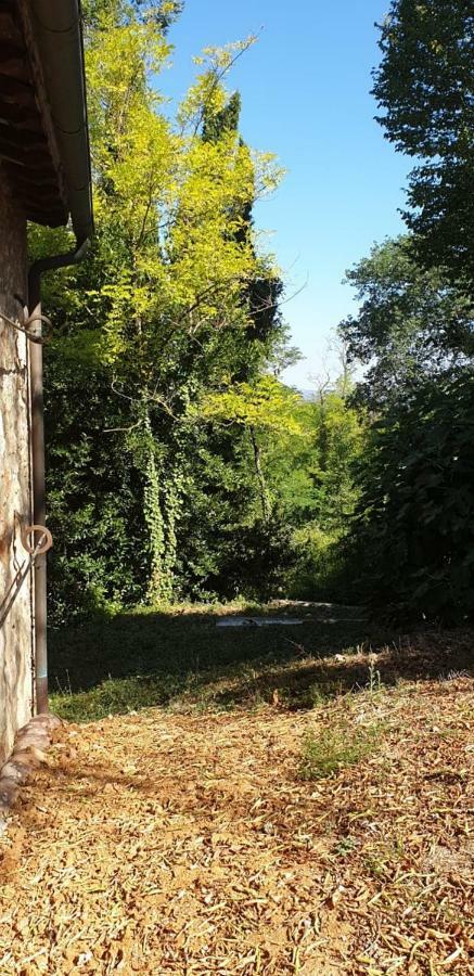Apartamento Nel Chianti Lungo La Francigena Colle di Val d'Elsa Exterior foto