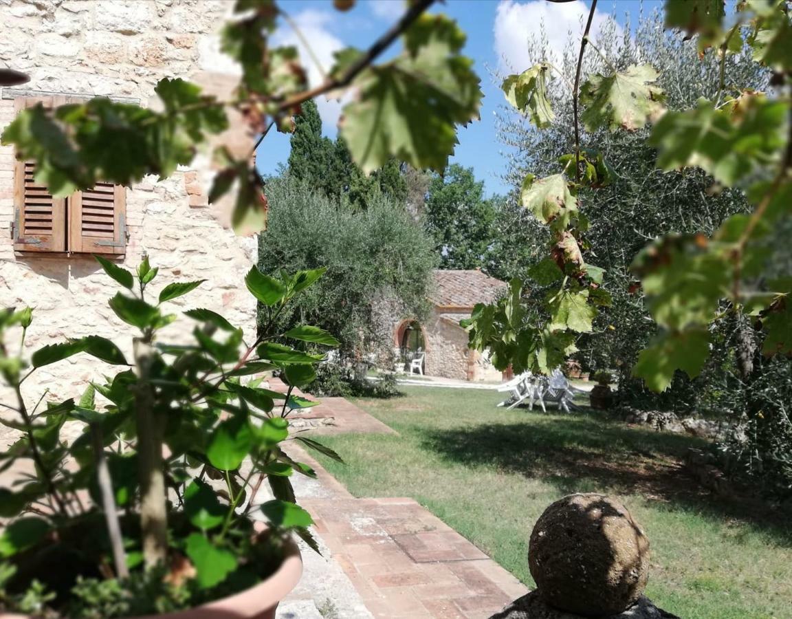 Apartamento Nel Chianti Lungo La Francigena Colle di Val d'Elsa Exterior foto