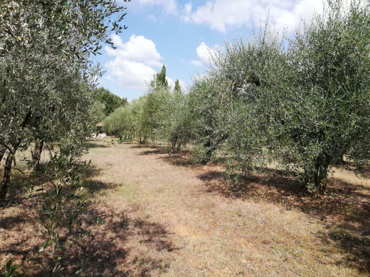Apartamento Nel Chianti Lungo La Francigena Colle di Val d'Elsa Exterior foto