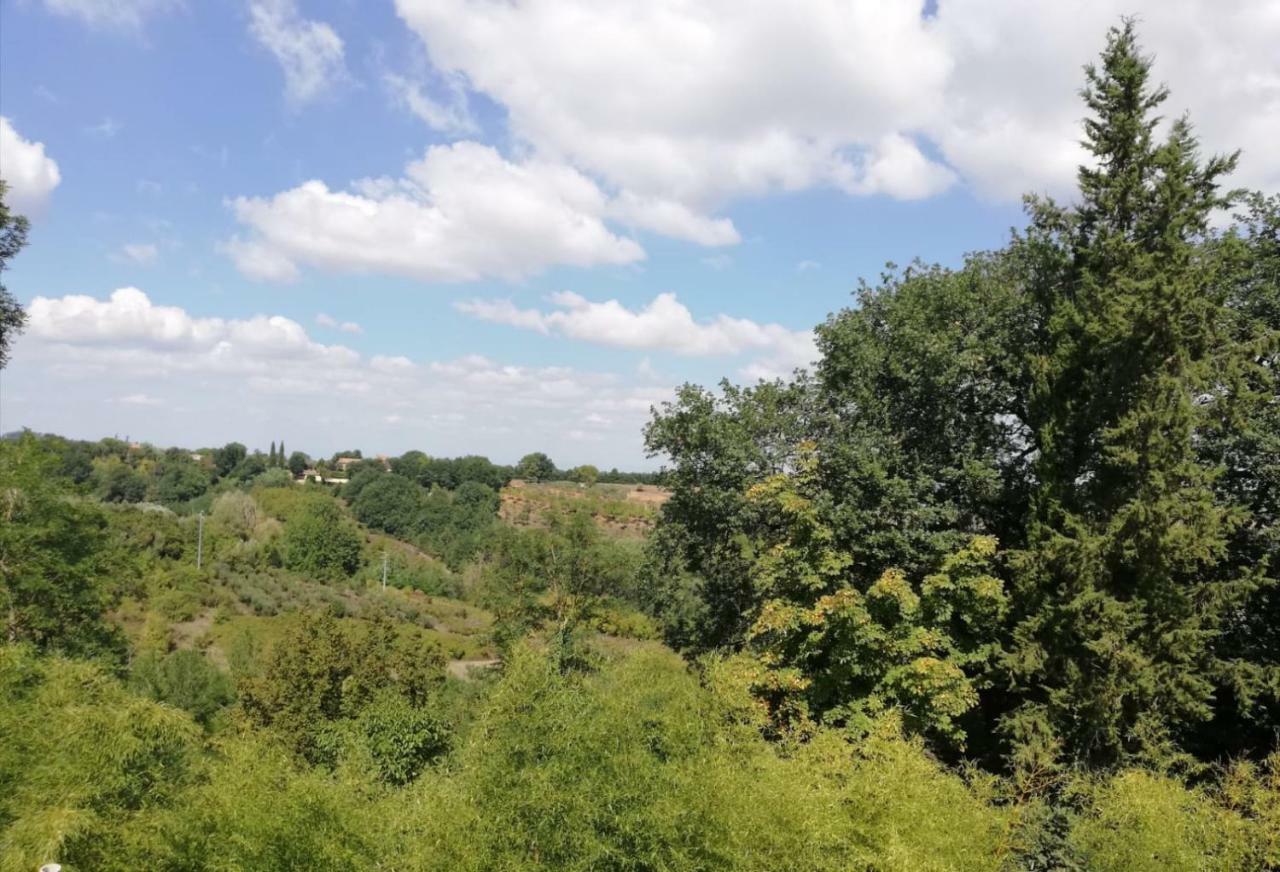 Apartamento Nel Chianti Lungo La Francigena Colle di Val d'Elsa Exterior foto