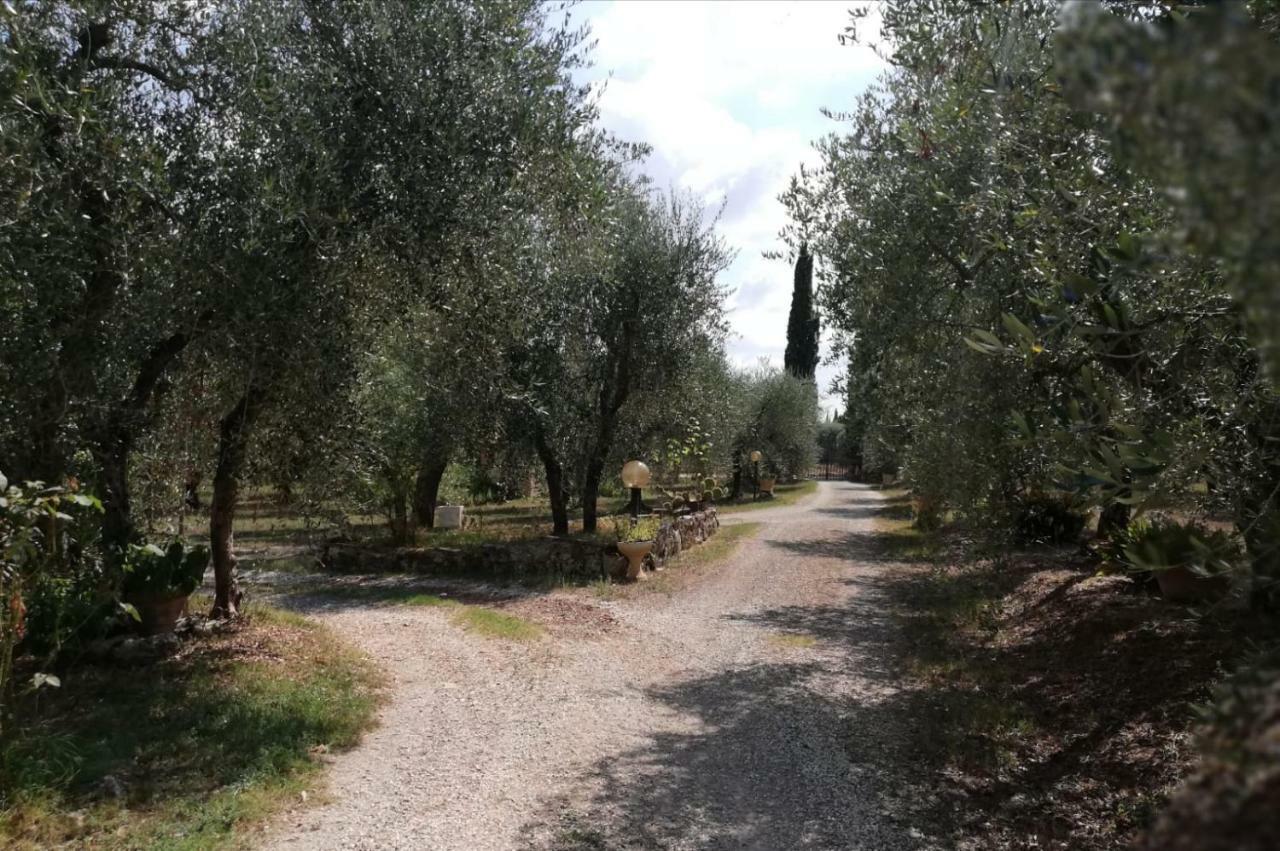 Apartamento Nel Chianti Lungo La Francigena Colle di Val d'Elsa Exterior foto